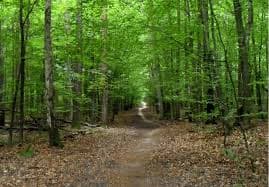 Prestiżowa willowa okolica